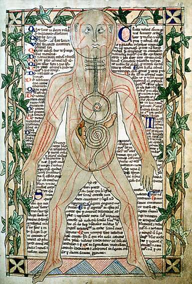 13ος αιώνας, εικόνα που δείχνει τις φλέβες και την κυκλοφορία του αίματος.