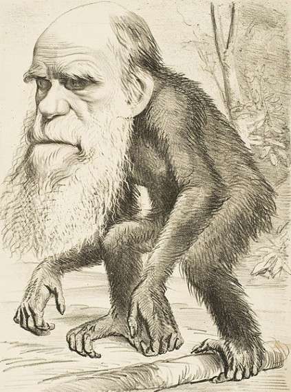 Καρικατούρα του Δαρβίνου ως απόγονου πιθήκου.