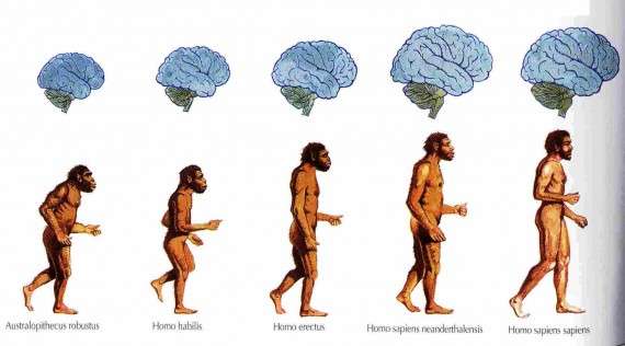 Η εξέλιξη του ανθρώπινου εγκεφάλου