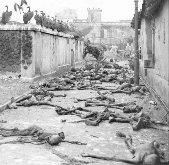 Γύπες τρέφονται με θύματα των θρησκευτικών συγκρούσεων του 1946.