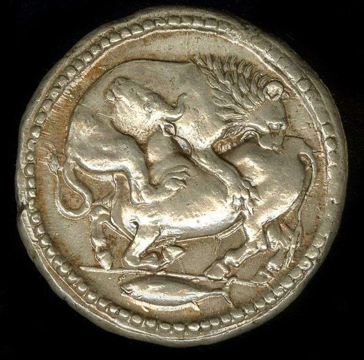Τετράδραχμο της Ακάνθου, 500- 424 π.χ. Παράσταση: Λέων που κατασπαράζει Ταύρο & στο κάτω μέρος απόδοση μικρού τόνου, το γνωστό στην Ιερισσό Ορκίνι.