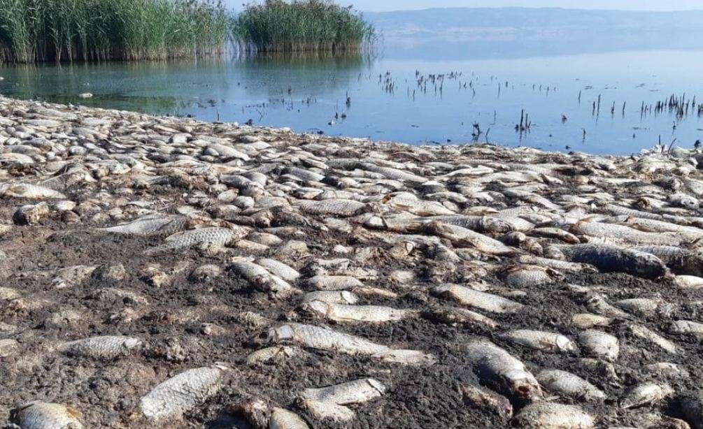 Η λίμνη Κορώνεια πεθαίνει από ανεπάρκεια της γραφειοκρατίας