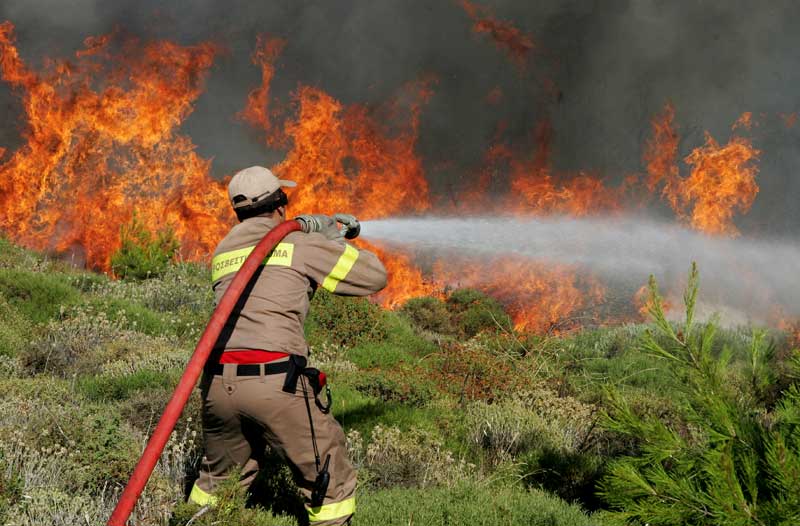 Αν και υπάρχουν πολλοί αφελείς, συνήθως μεγάλης ηλικίας, που ανάβουν φωτιές για να κάψουν ξερά κλαδιά, οι πυρκαγιές οφείλονται στην ύπαρξη μεγάλης ποσότητας ξηρής βιομάζας σε δάση ή σε ποώδη λιβάδια και θαμνολίβαδα (φρύγανα και πουρναροτόπια), είτε στην ύπαρξη εγκαταλελειμμένων αγρών.
