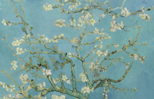 Μαγεμένος από την ομορφιά της ο Βίνσεντ Βαν Γκογκ θα ζωγραφίσει τα «Άνθη Αμυγδαλιάς» (1890), για να τιμήσει το σημαντικότερο γεγονός στη ζωή του ανθρώπου, τη γέννηση ενός παιδιού, του ανιψιού του, τοποθετώντας την αμυγδαλιά στο πάνθεον των έργων τέχνης.