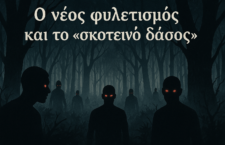 Η έλευση των Μέσων Κοινωνικής Δικτύωσης (ΜΚΔ), και ο ρόλος που διαδραμάτισαν στις αρχές της δεκαετίας του 2010, στους Αγανακτισμένους της Ισπανίας και της Ελλάδας, στο κίνημα Καταλάβετε την Γουόλ Στρητ, αλλά και στην επανάσταση της πλατείας Ταχρίρ στην Αίγυπτο, ενίσχυσαν ακόμα περισσότερο την εντύπωση ότι ο νέος ψηφιακός κόσμος ενισχύει την επανεμφάνιση μιας “δημοκρατίας” από τα κάτω.