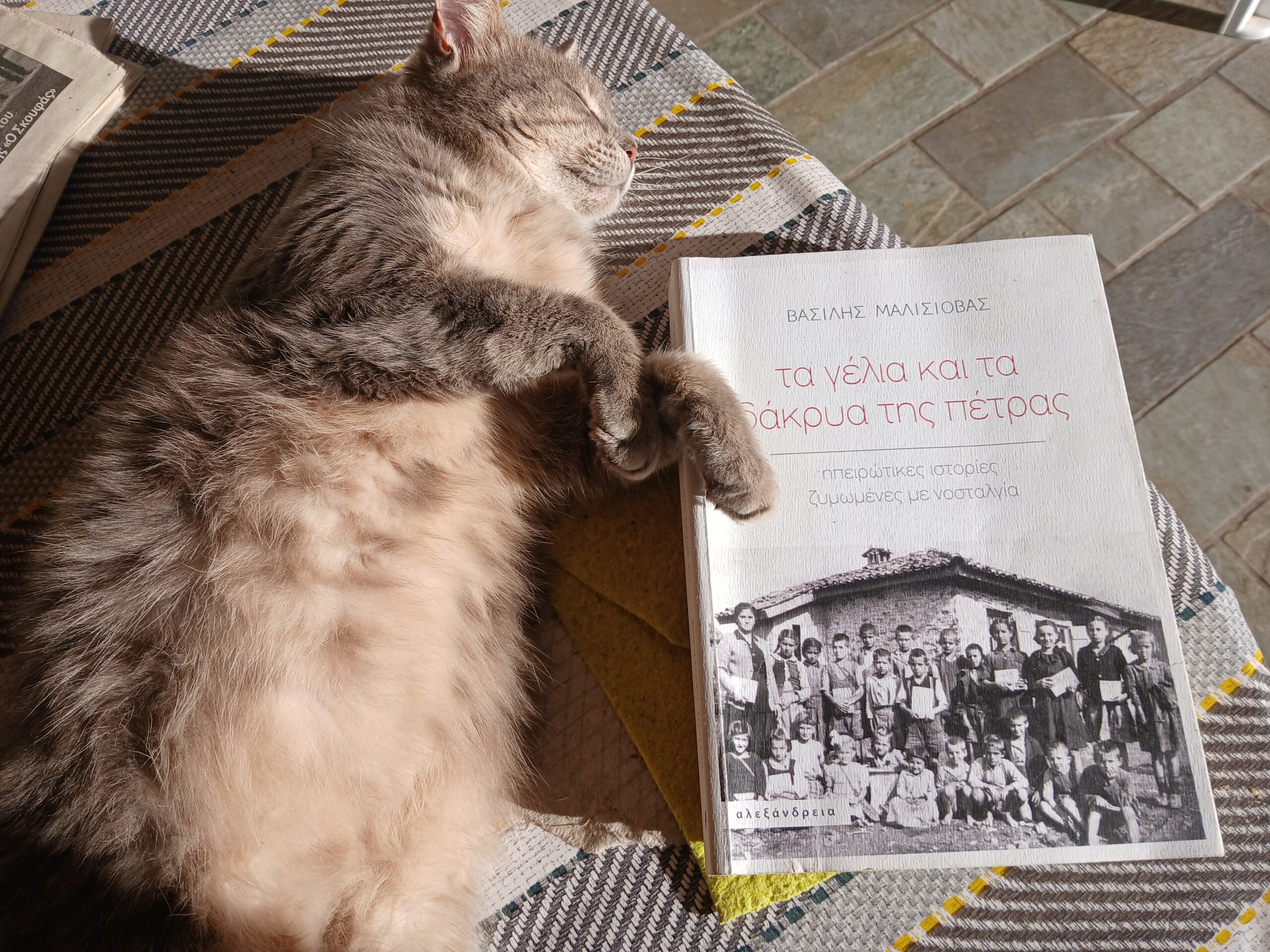 Ονειρεύεται ένα κόσμο χωρίς κακοποίηση των ζώων...