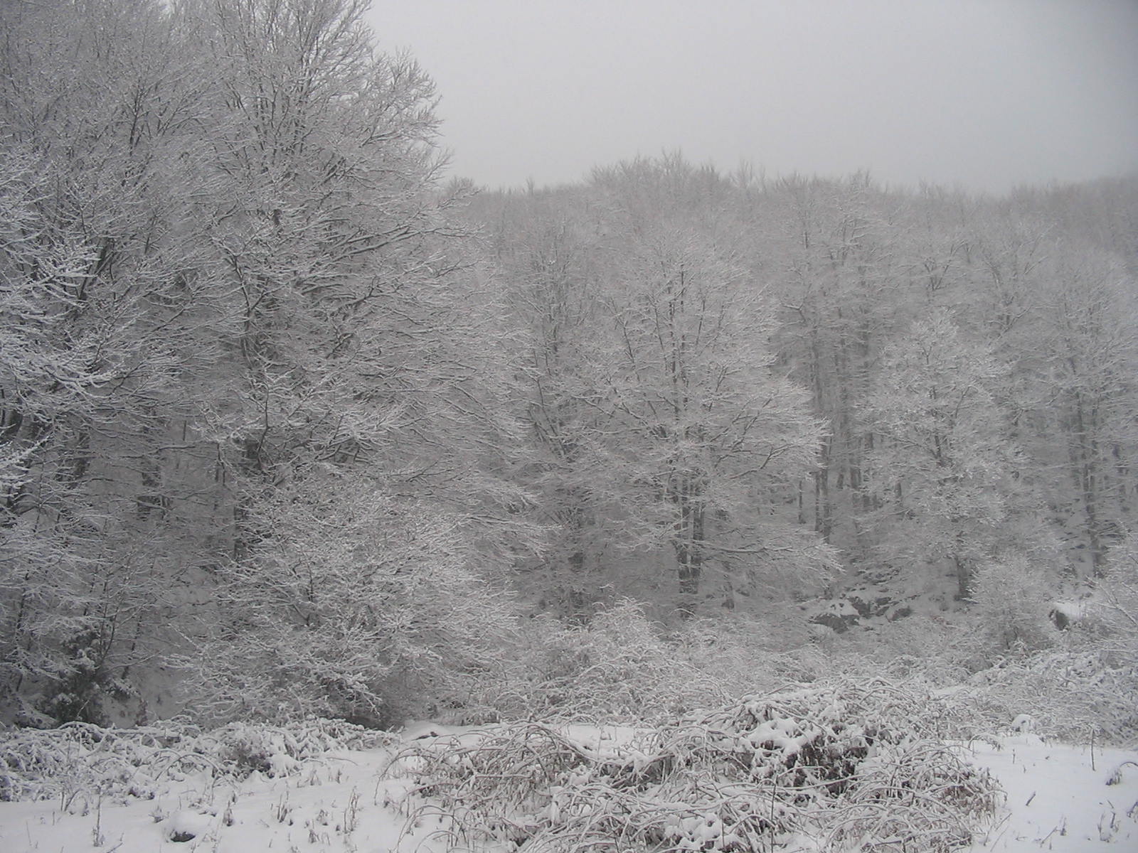 «Ήμαν τραυματιοφορέας στου Γράμμου… Στα σύνουρα απάνου… Δεν ήταν εύκουλη δ’λειά αυτήνη…Πέρα απ’ του φόβου μη σκουτουθείς, είνι κι του βάρους! Να κ’βαλάς στ’ν πλάτη ανθρώπους κι μι κρύου κι μι χιόνι κι μι λάσπη… Δυο χειμώνις πέρασα ικεί…»¨.