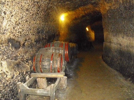 Εικόνα 8 Υπόσκαφο κελάρι για την αποθήκευση οίνου στο Μελένικο της Βουλγαρίας