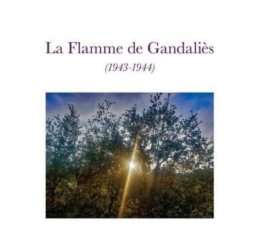 Sylvain Fabre- Coursac