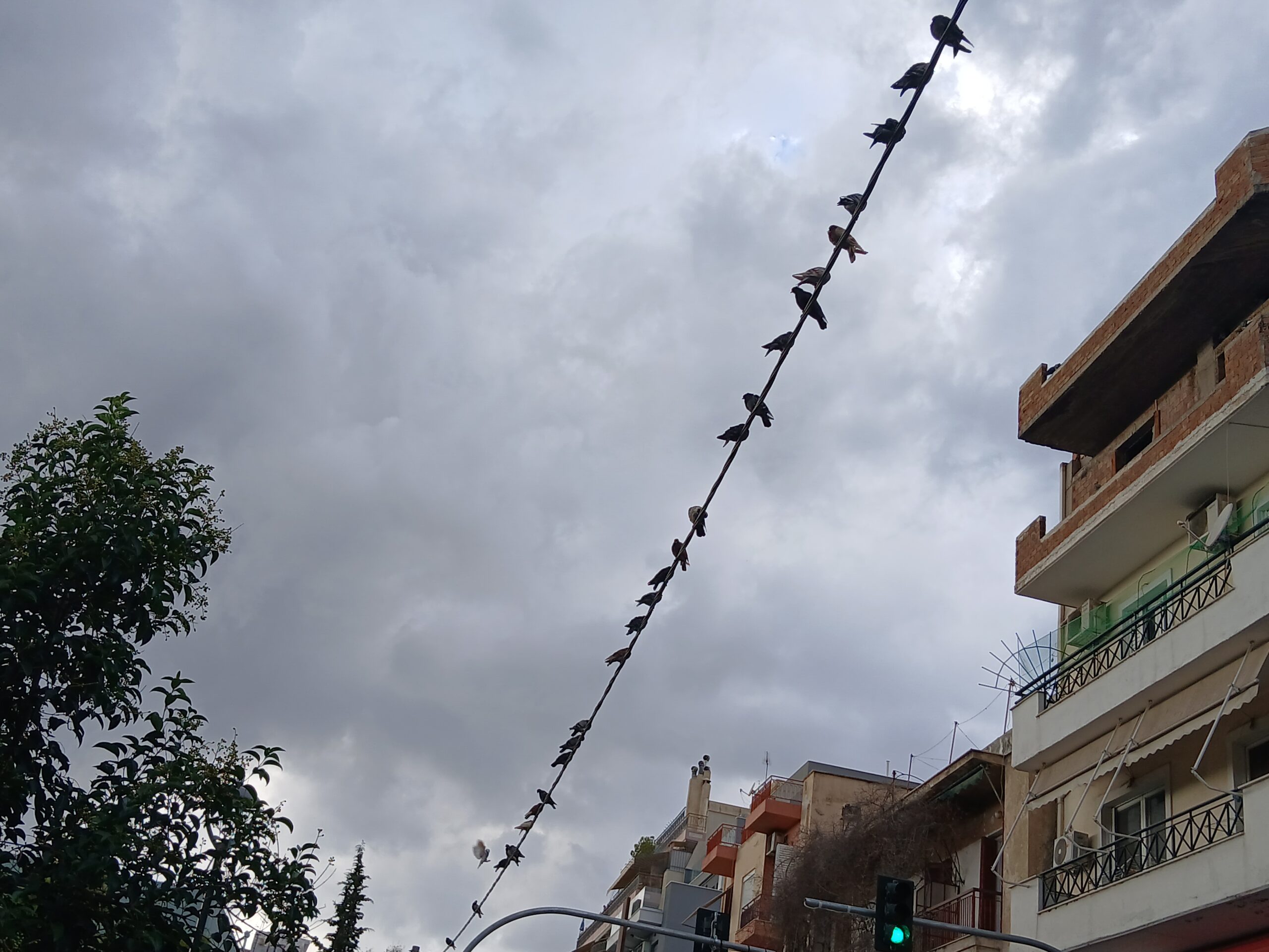 Πηγαίνοντας καθημερινά στη δουλειά μου, ως στιγμοσυλλέκτης βλέπω σμήνη περιστεριών συγκεντρωμένα στα καλώδια φωτισμού. Είναι η... περιστεροσυνέλευση ή γενική συνέλευση περιστεριών, όπως σκωπτικά την ονομάζω