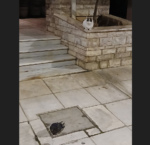 Αποκτήνωση ή αποανθρωποποίηση;