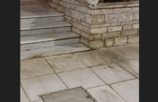 Η γάτα, με το ένστικτο του θηρευτή να έχει κυρίαρχο ρόλο στη συμπεριφορά της, στεκόταν σαν φύλακας για να δει το ανήμπορο περιστέρι να πετάει. Καθόταν κι αυτή ακίνητη, σε υπερυψωμένη θέση μάλιστα, ώστε να κατοπτεύει τον χώρο.